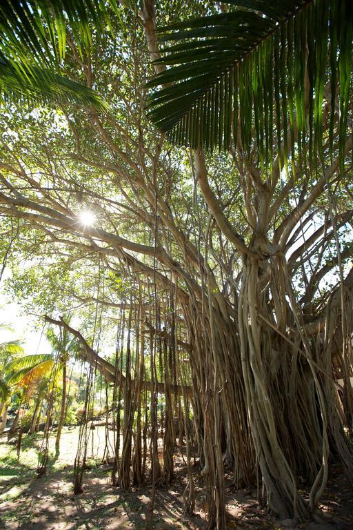 Lux* Grand Gaube Resort & Villas Esterno foto Banyan tree